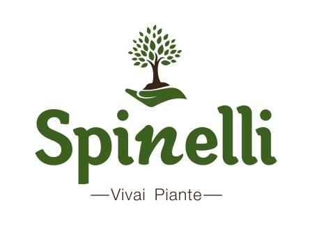 Azienda Agricola Spinelli Gerardo Vivai Piante